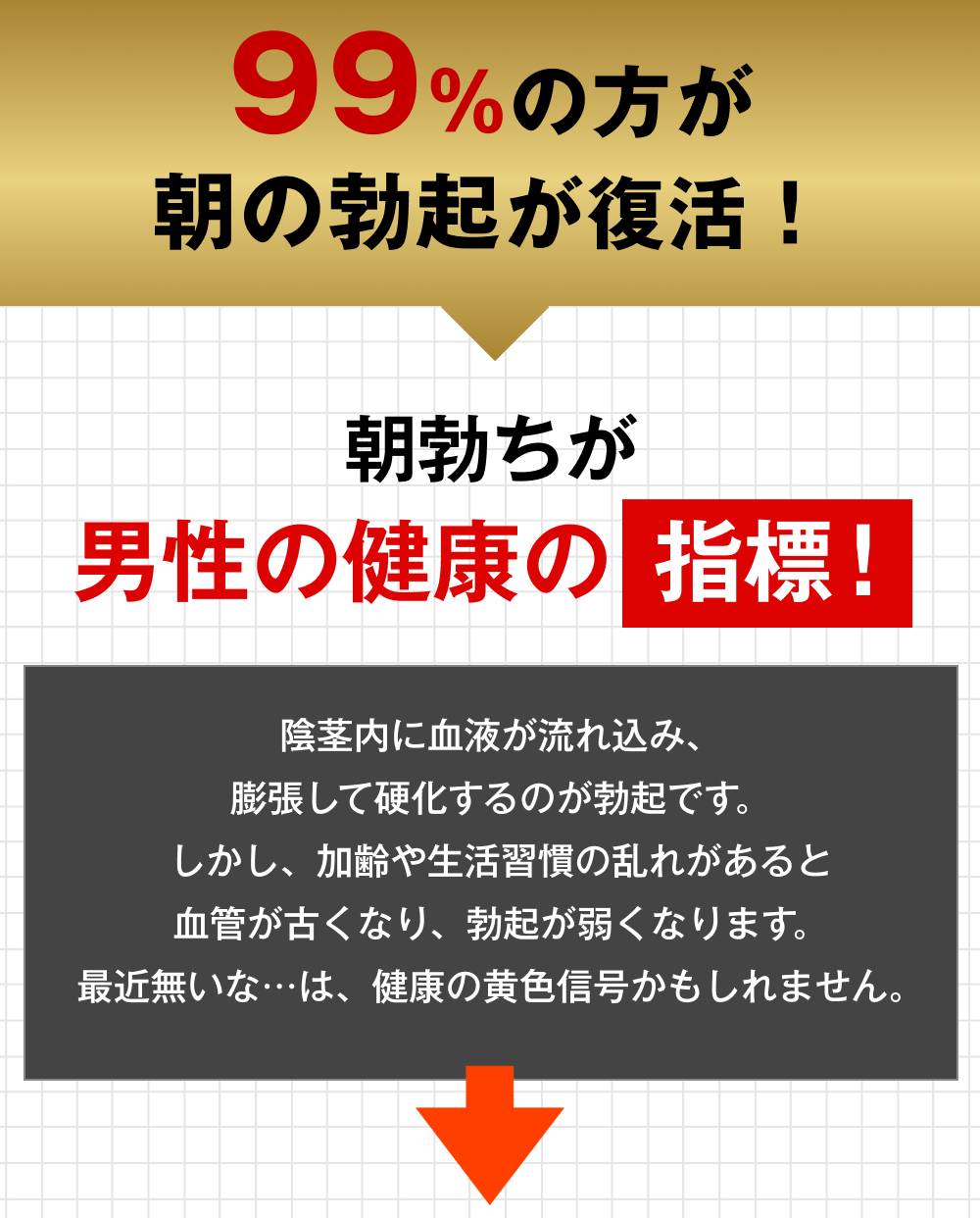99%の方が朝の勃起が復活！朝勃ちが男性の健康の指標！