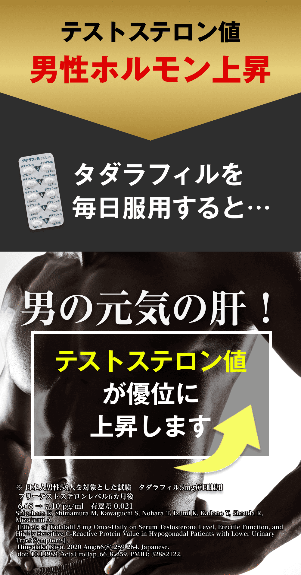 テストステロン値 男性ホルモン上昇