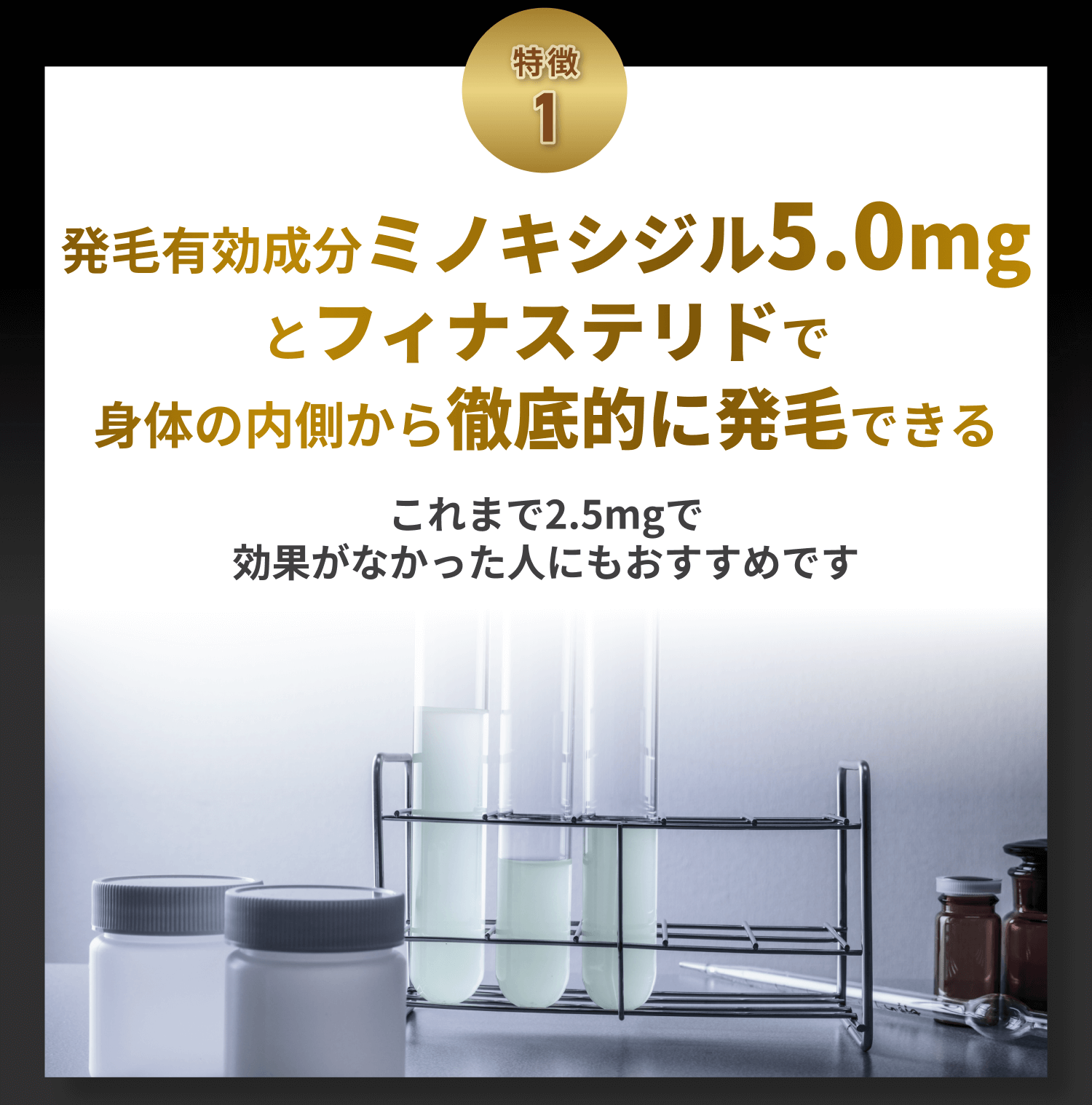 特徴1
